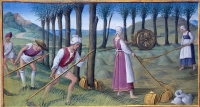 1500 - Book of Hours by Jean Poyer, known as The Hours of Henry VIII - June: Mowing